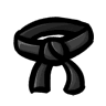 Item: Black Belt