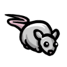 Item: Mouse